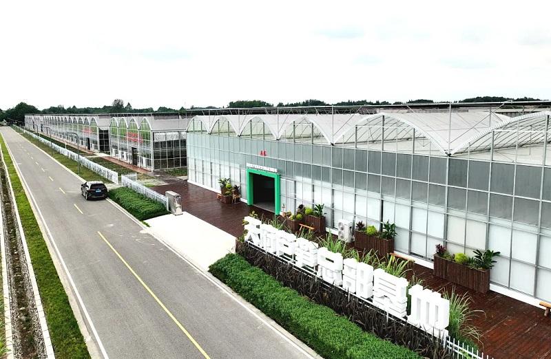 數(shù)智賦能 環(huán)球軟件助天府蘆筍“鮮”出圈