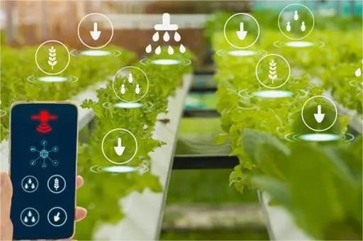 了解一下，未來前景廣闊的數(shù)字農(nóng)業(yè)新技術(shù)和新應(yīng)用