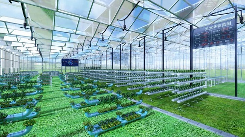 十五部門聯(lián)合發(fā)文，探索開展智慧農(nóng)場等數(shù)字化場景認(rèn)證