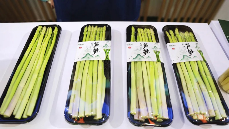 “立園滿園”看成效 | 新津又一全國總部基地建成